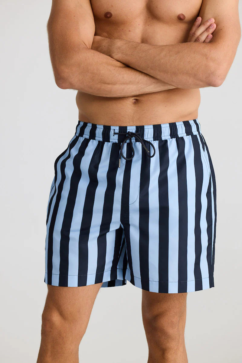 Dartmouth Board Short - Allen Stripe